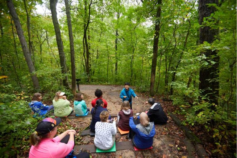 Forest Bathing: Rediscovering Nature’s Quiet Healing